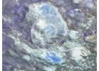 Discover Modern Abstract Artwork for Sale Today