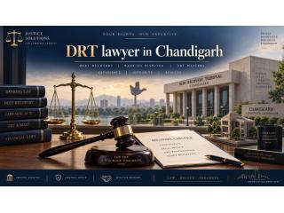 How Can a DRT Lawyer in Chandigarh Help Borrowers?