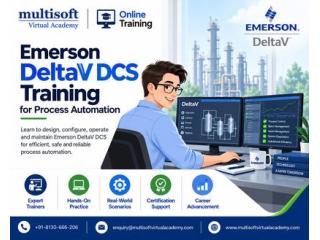 Multisoft Virtual Academy - Emerson DeltaV DCS Training for Process Automation
