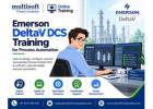 Multisoft Virtual Academy - Emerson DeltaV DCS Training for Process Automation