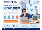 Multisoft Virtual Academy - SAP IBP Training for Smarter Supply Chain Planning