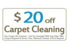 Pro Carpet Cleaning Spring