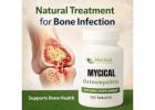 Best Herbal Supplements for Osteomyelitis: What to Consider Before Buying