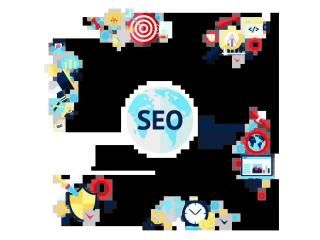Local SEO Expert | Digitalitsolution.com