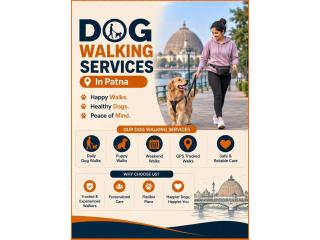 Dog Walking Services