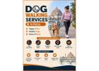 Dog Walking Services