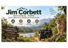 Jim Corbett National Park: Wildlife & Safari Experience