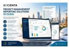 Connect Property Project Reporting With Financial Data in Dubai