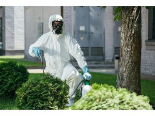 Reliable Industrial Pest Control Service in Jaipur for Business Protection