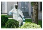 Reliable Industrial Pest Control Service in Jaipur for Business Protection
