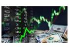 Advanced Algorithmic Trading Software for Modern Traders | Trustigo 