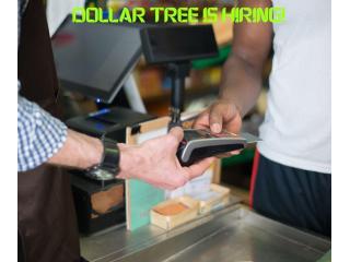 Immediate Hiring: Dollar Tree Retail Team Members