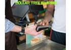 Immediate Hiring: Dollar Tree Retail Team Members
