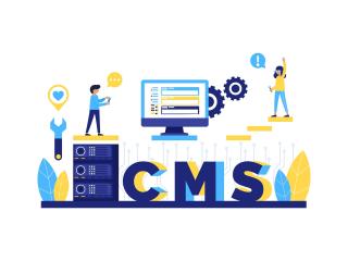 CMS Development Services: How the Right CMS Improves Website Scalability and Performance