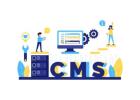 CMS Development Services: How the Right CMS Improves Website Scalability and Performance