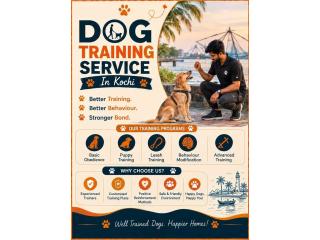Dog Training Service