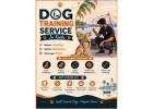Dog Training Service
