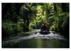 Manu National Park Tour 4 Days | Amazon Rainforest Lodge Adventure