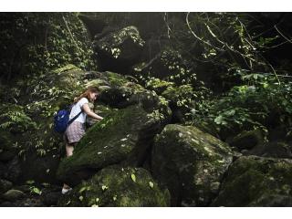 Ultimate Jungle Photography Trip: Chuncho Macaw Clay Lick Tour 4 Days | Sandoval Lake Tour 4 Days
