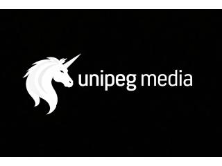 Unipeg Media | Digital Marketing Agency in Gurgaon