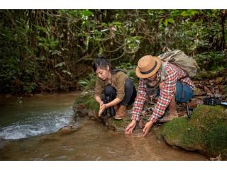 Tree House Inn: Unique Amazon Canopy Stays & Tambopata Jungle Tours