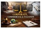 How Can an Advocate for Commercial Suits Help Businesses Resolve Disputes?
