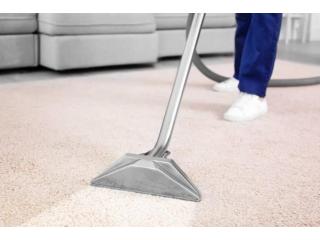 Professional Carpet Cleaning and Cleaning Services in Wollongong