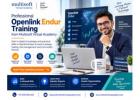 Professional Openlink Endur Training from Multisoft Virtual Academy