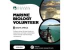 Marine Biology Volunteer South Africa