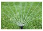 Sprinkler Service in Dallas, TX for Routine Irrigation Maintenance