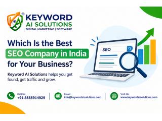 Which Is the Best SEO Company in India for Your Business?