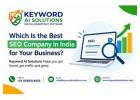 Which Is the Best SEO Company in India for Your Business?