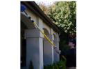 TruBug Pest Control: Pest Control Company in Fresno for Commercial Spaces