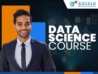 Data Science Course with Practical Training