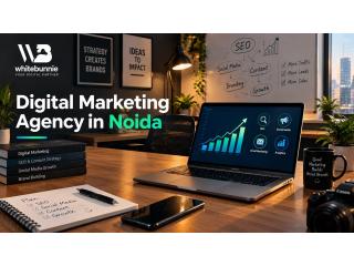 Experienced Digital Marketing Agency in Noida