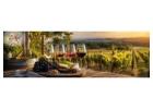 What Should You Look For When Exploring the Best Pinot Noir in Sonoma?