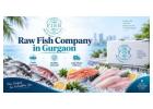 Choosing Fish Portions for Curries, Grilling, and Everyday Meals