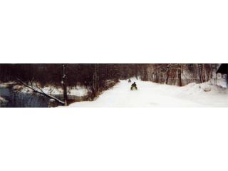 Snowmobile Rental Up Michigan for Scenic Getaways