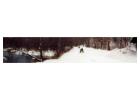 Snowmobile Rental Up Michigan for Scenic Getaways