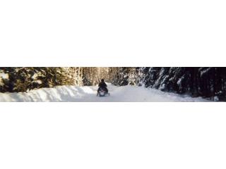 Plan Your Ride Using Trout Lake MI Snowmobile Trail Report