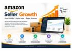 Ecommerce Solutions for Marketplace Sellers