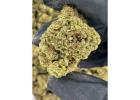 Gelato 33 THCA Flower | Indica-Hybrid THCA Flower