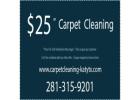 Carpet Cleaning Katy