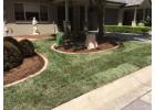 Find a Landscaper in Southern Highlands at Semms Property Services 