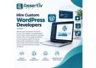 Hire Custom WordPress Developers