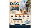 Dog Walking Services