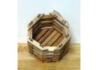 Orchid Baskets for Beautiful and Elegant Floral Displays