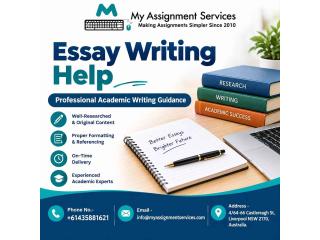 Professional Essay Writing Support for Students