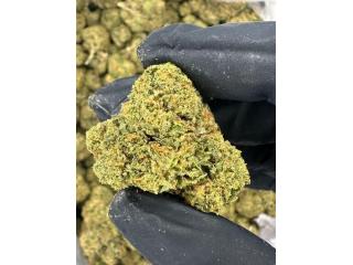 Buy Gelato 41 THCA Flower Online | Premium THCA Flower