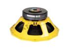 Powerful DJ Speaker 21 Inch for High-Output Professional Sound